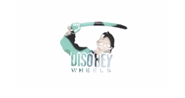 Disobey-wheel-skatepark-viña-del-mar-patineta1