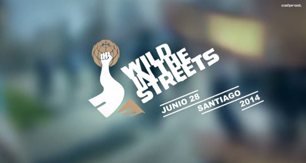 Emerica-Wild-in-the-streets-2014-Santiago-por-Cafprod