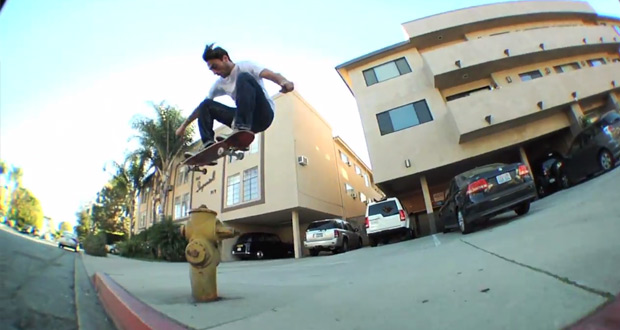 Organika---Eli-Reed-'Love-All'-Part-patineta2