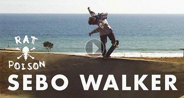 Sebo-Walker-en-Rat-Poison