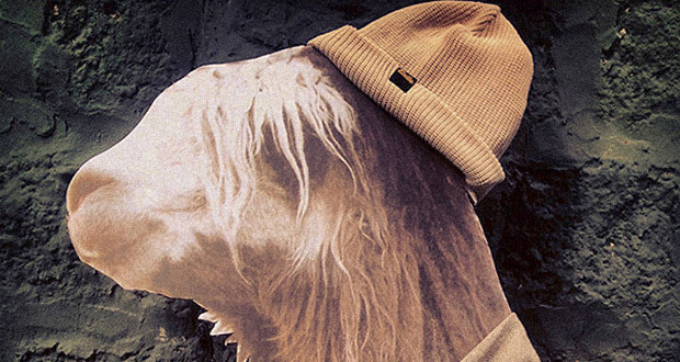 Semilla-Skateboards--Gorros-Invierno