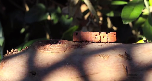 Semilla-Skateboards--Raíces---Amigos