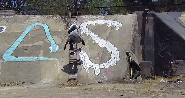 Semilla-Skateboards--Raíces---Jourdan-Cortés