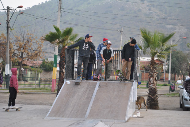Vive Skate Chile X Zoo York- Renueva y Pinta -18