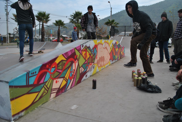 Vive Skate Chile X Zoo York- Renueva y Pinta -26