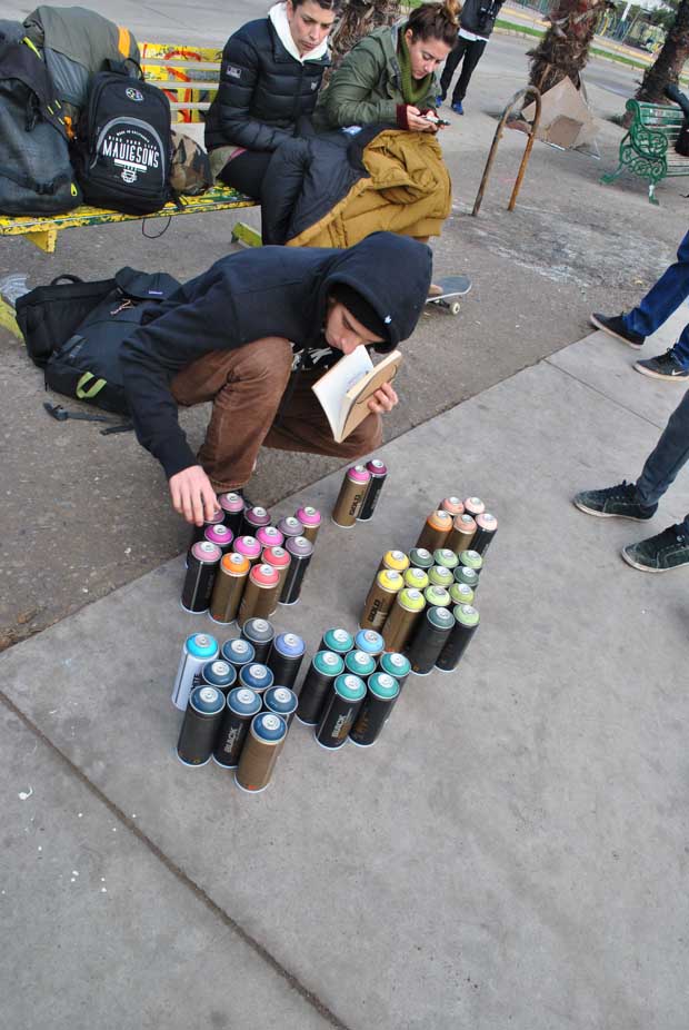 Vive Skate Chile X Zoo York- Renueva y Pinta -33