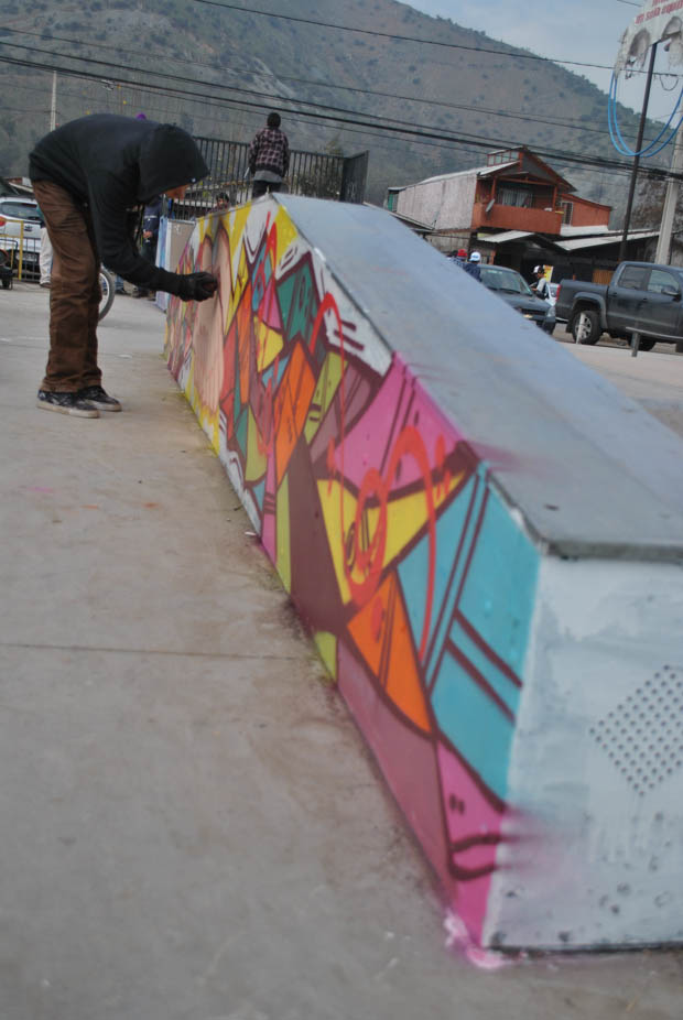 Vive Skate Chile X Zoo York- Renueva y Pinta -36