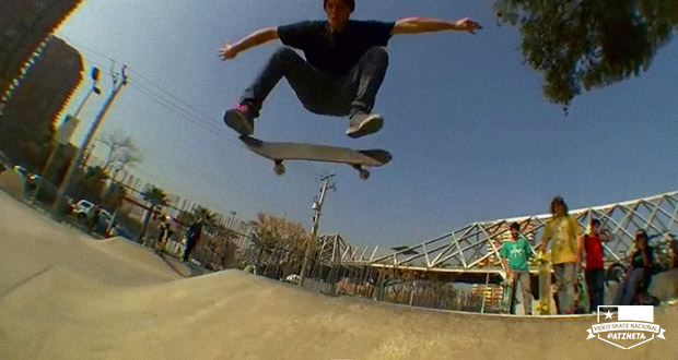 Arborea--Max-Aldunate-Skatepark-Las-Condes