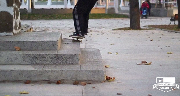 Tomate-Skateshop--Limache-Park