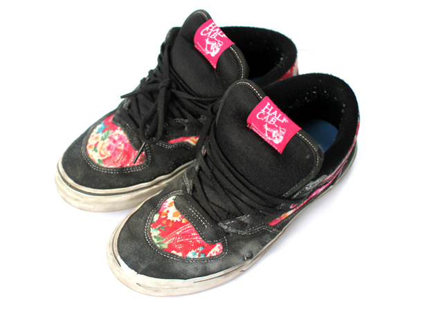 Vans-Half-Cab-Jechu-1