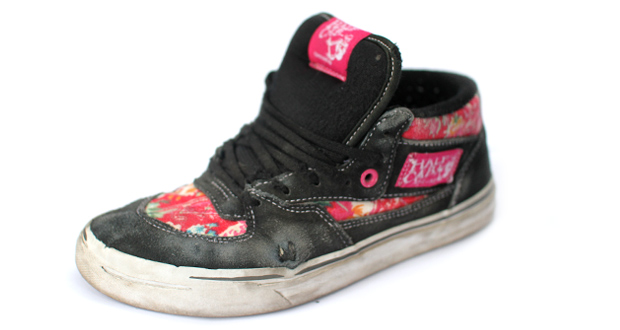 Vans-Half-Cab-Jechu-4