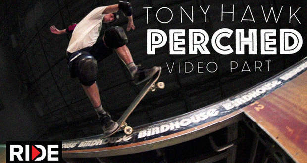 Tony-Hawk-Part-2014---Perched
