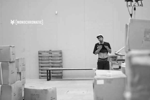 ZooYork-Monochromatic-1