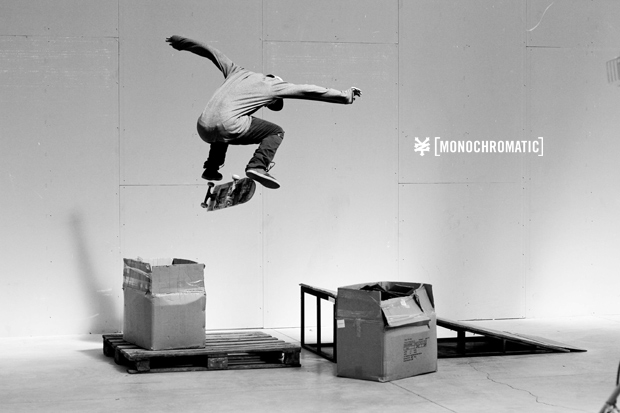 ZooYork-Monochromatic-16