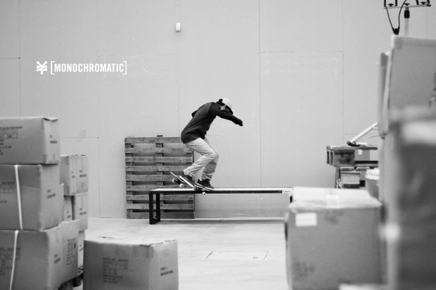 ZooYork-Monochromatic-2