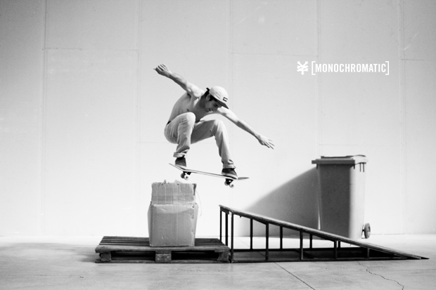 ZooYork-Monochromatic-64