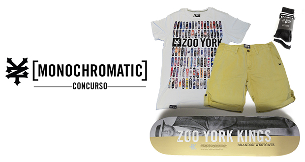 _Monochromatic-Series-–-Concurso