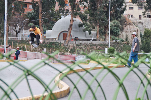 Pato Ollie-2