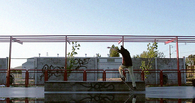 ShitFilms--Mathias-Sepulveda---OldTree