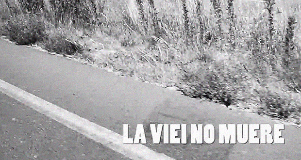 LA-VIEI-NO-MUERE
