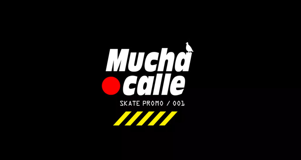 Mucha-calle-patineta