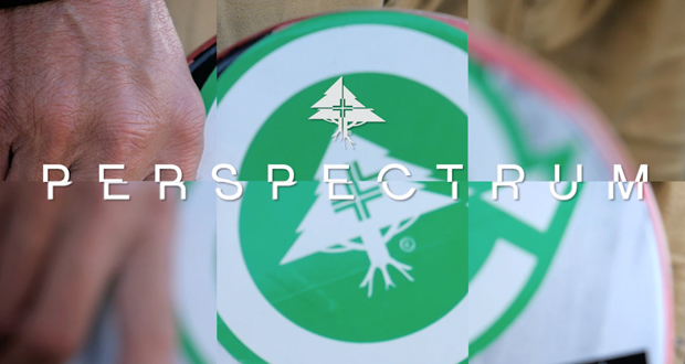Skate&Create-2015--LRG---Perspectrum