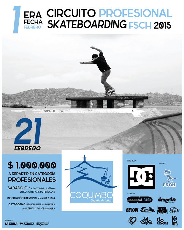AFICHE-1ERA-FECHA-FSCH-2015-01-01