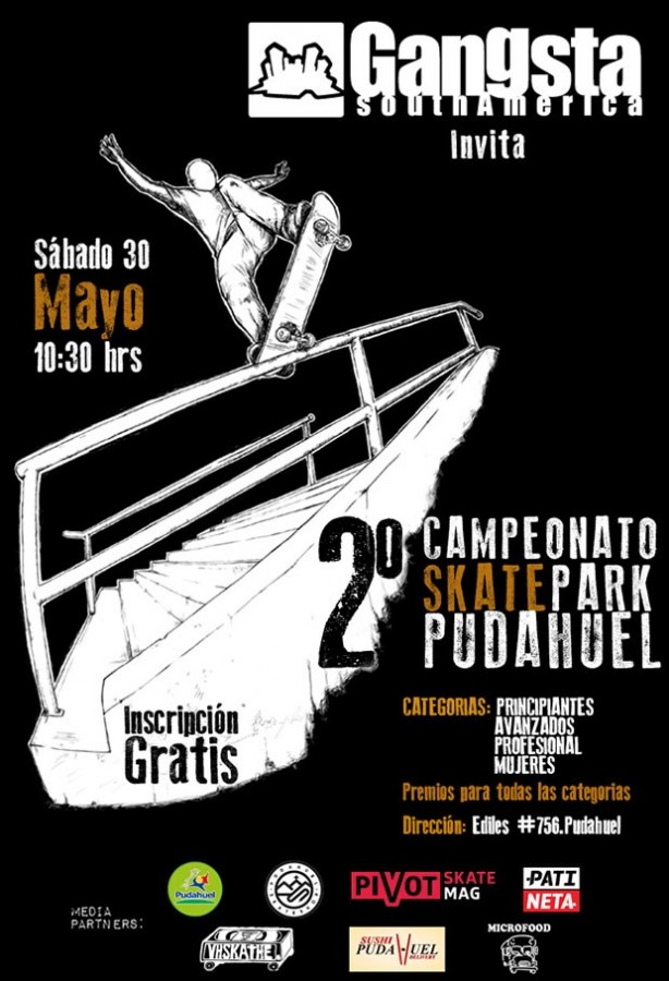 2-campeoanto-skatepark-pudhueel