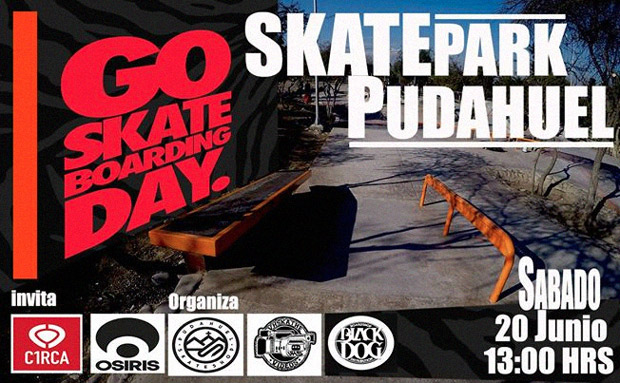Dia-Mundial-del-Skate-2015--Santiago,-Pudahuel-interior-flyer