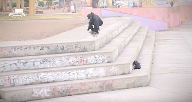 patochico-sunriseskateboards