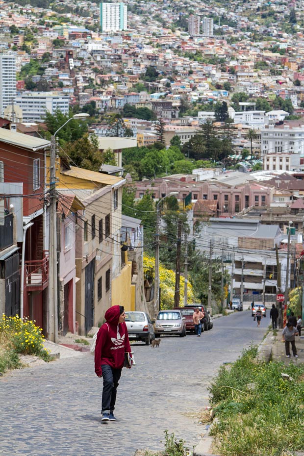 Carlos Fuentes Valpo hills
