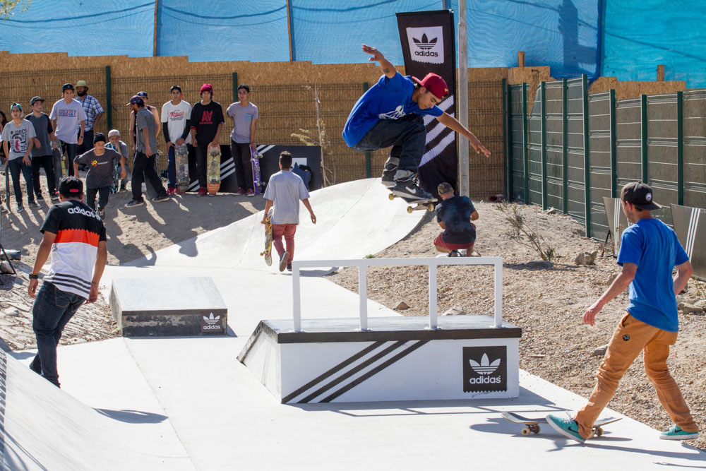Ollie Shifty-2