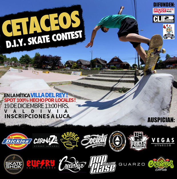 CETACEOS-FLYER-valdivia