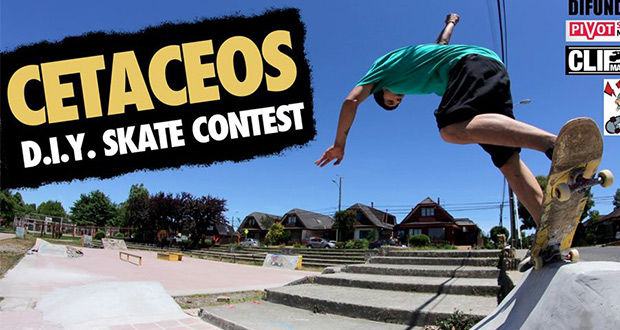 Cetaceos-DIY-Contest---Valdivia--19-Diciembrepatineta