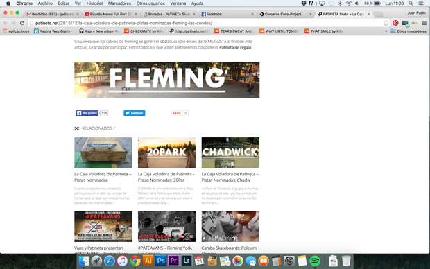 fleming-patineta-skate-resultado