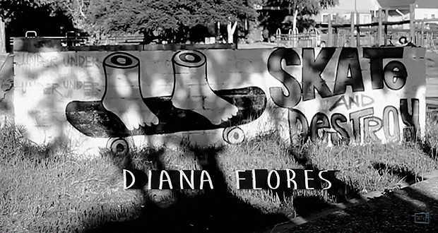 Diana-Flores-camino-a-Niebla---2016