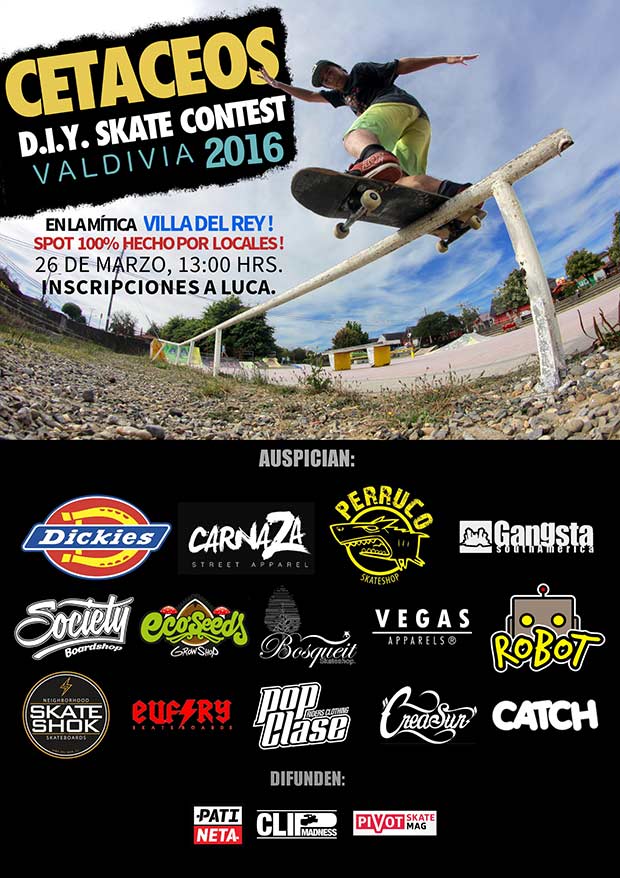 cetaceos-diy-valdivia-contest