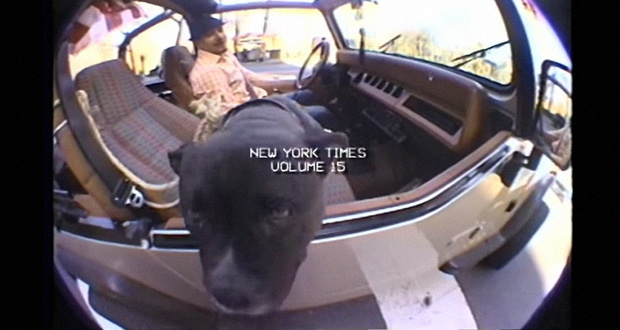 LurkNYC-–-New-York-Times-v.15