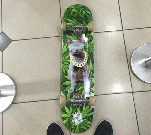 gato-plomo-sunrise-pro-model-patineta-weed-