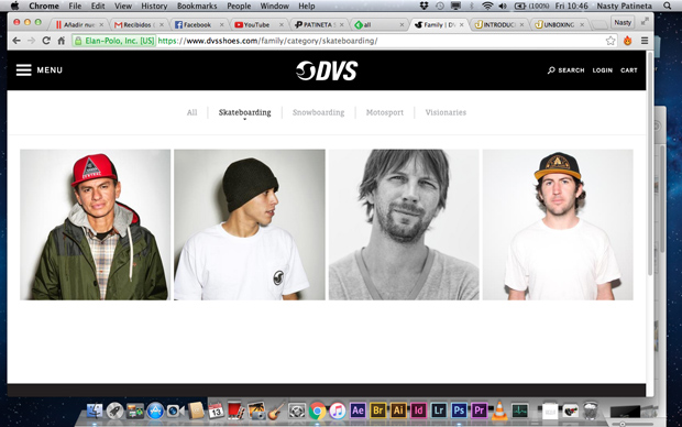 dvs-team-2016