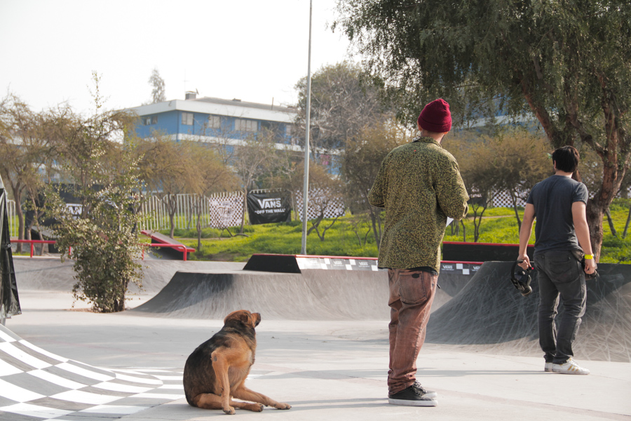 Vans-Waffle-Series-Santiago-2016-32