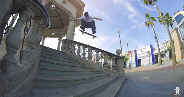 chris-joslin-etnies-grizzly