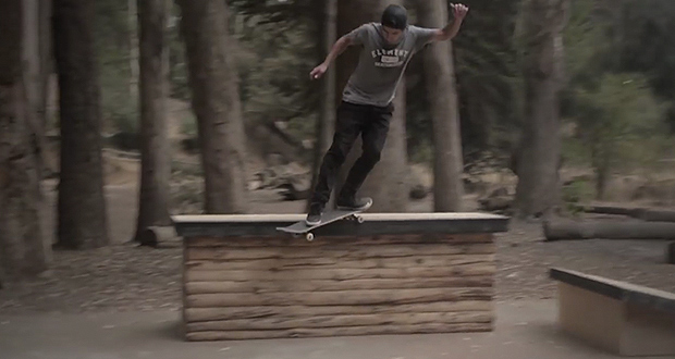 Matias-Arrano-en-el-Bosque-