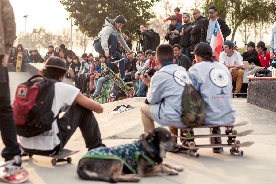 skate-day-bilsed-11