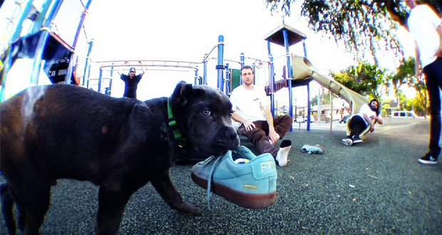 king-puppy-supreme-nike-sb