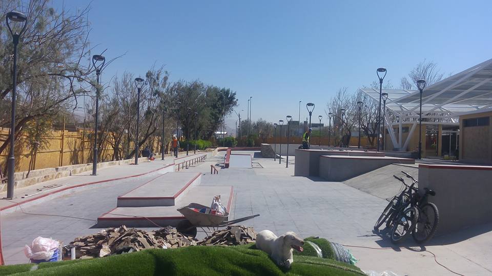 skateplaza-calama-12