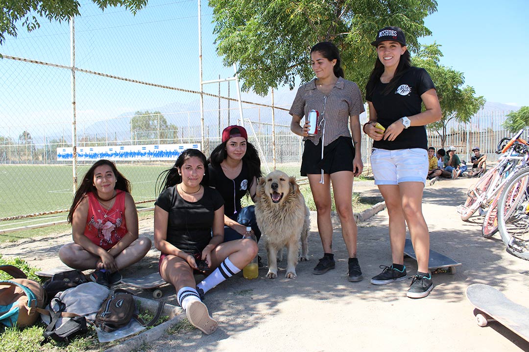 puente-skate-beneficio2